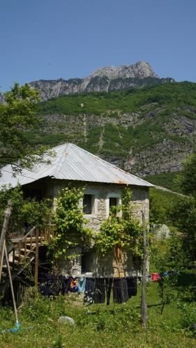 Exterior view of Motina River Guesthouse