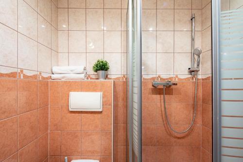Centrally located comfortable apartment - image 5