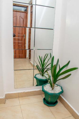 Hamptons Homes Stylish 1 Bedroom Stay close to Eldoret Town in 埃爾多雷特