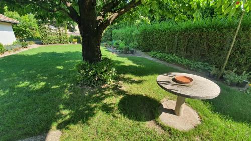 Holiday home in Balatonvilagos 31292 - image 5