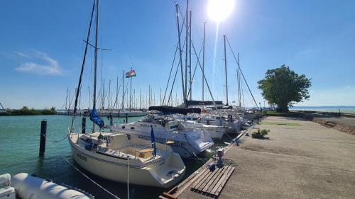 Holiday home in Balatonvilagos 31292 - image 9