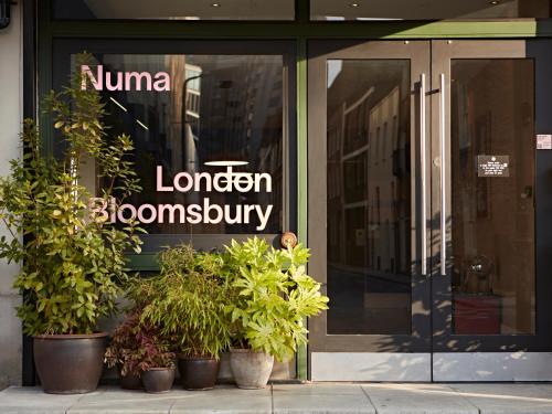 My Bloomsbury - main image
