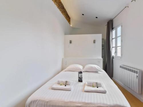 Magnifique Appartement Place du Capitole, Tolosa (foto 7)