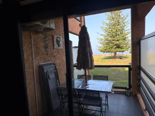 Logement 216 Moriani plage 3