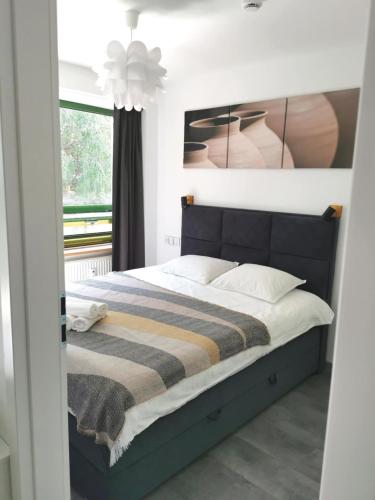 Apartament BOGDANKA nad Zalewem