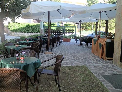 Hotel Alisma - 정원