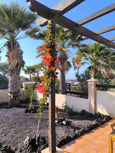 Little Paradise - Origo Mare - Lajares 2