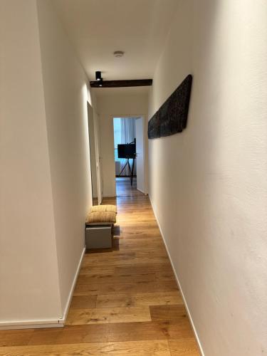 accademia00 in Statenkwartier