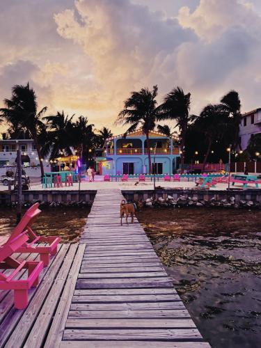 Barefoot Beach Belize in Caye Caulker