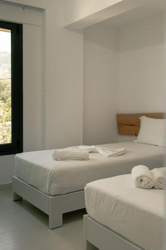 The Oasis - image 5