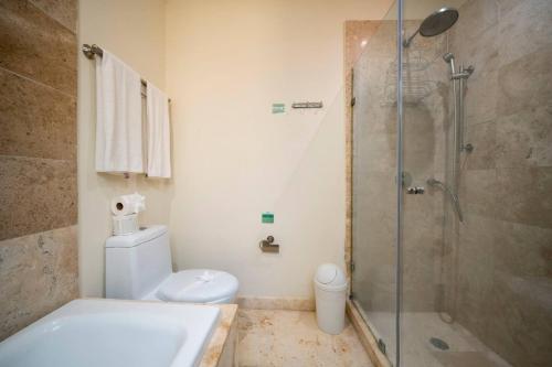 Condo Surf 301 - Luxury Oceanview Beachfront with Gym - At El Faro Condos in Playa del Carmen, Mexico