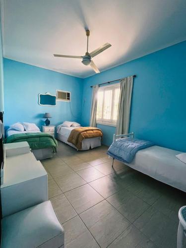 El viejo lobo in 埃斯基納