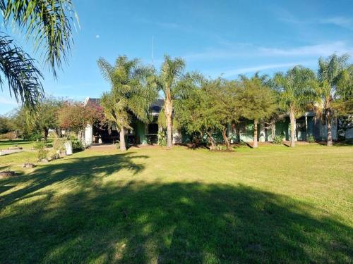 El viejo lobo in 埃斯基納