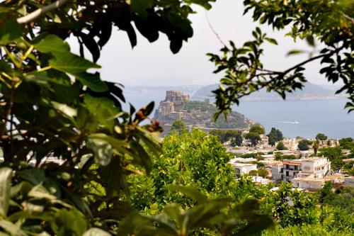 Panorama Carmelina, Ischia