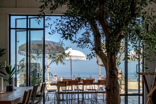 Bed and Breakfast Geliefd in Sassenheim