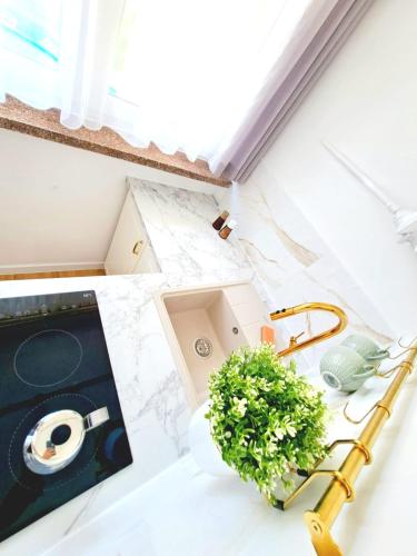 Apartament Dominikanski