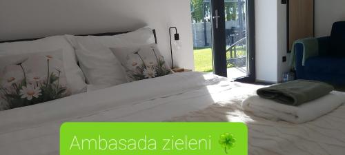Ambasada zieleni