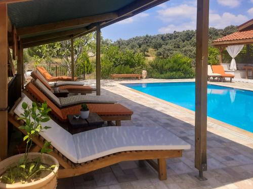 Swimmingpool, Ionia Guest House in Aydin