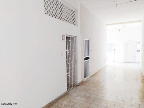 One-Bedroom Apartment image 9