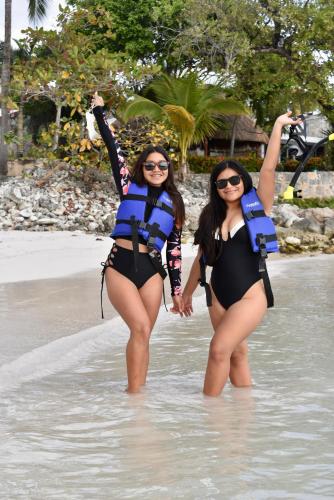 Aktivitas, Nado con tortugas marinas en akumal in Akumal