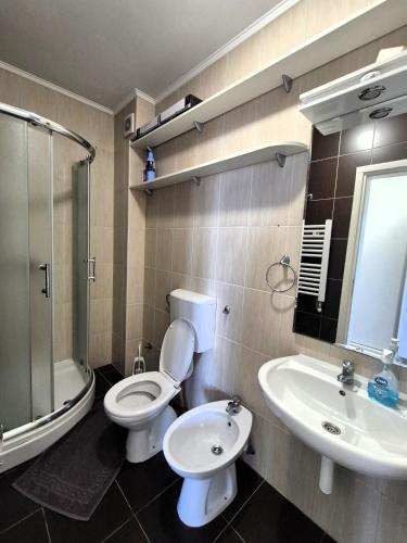 One-Bedroom Apartment image 10
