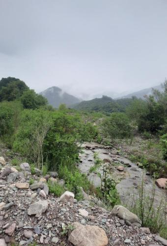 주변 명소, Cabañas Ecoturisticas del Valle de Yala alpina (Cabanas Ecoturisticas del Valle de Yala alpina) in 얄라