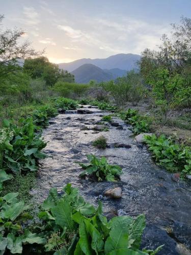 주변 명소, Cabañas Ecoturisticas del Valle de Yala alpina (Cabanas Ecoturisticas del Valle de Yala alpina) in 얄라