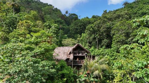 Finca La Selvita Chocolate experience in Buritaca