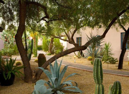 Lodge On The Desert