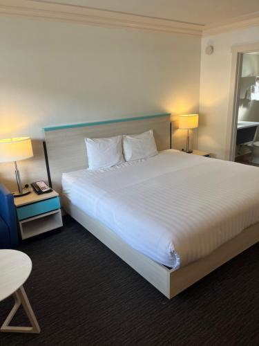 King Room with Mountain View