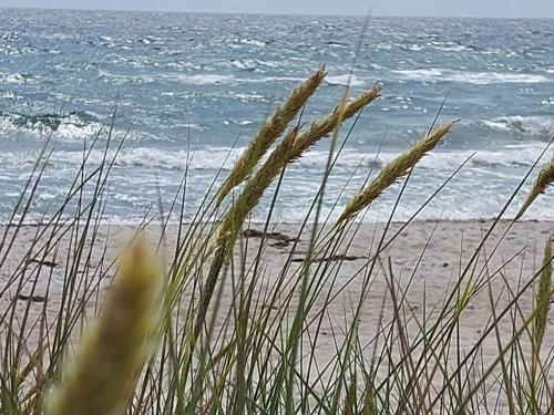 Facilities, Holiday home in Sydals with swimming pool in Osterby