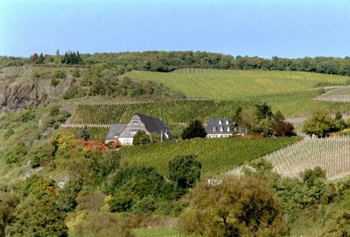 Gut Hermannsberg