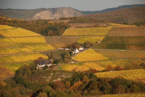 Gut Hermannsberg