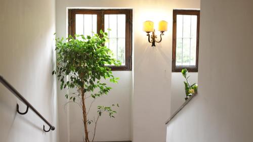 Villa Corsini - image 6