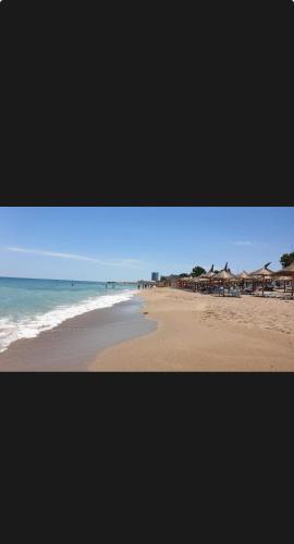 Apartament Neptun - Location saisonnière - Neptun