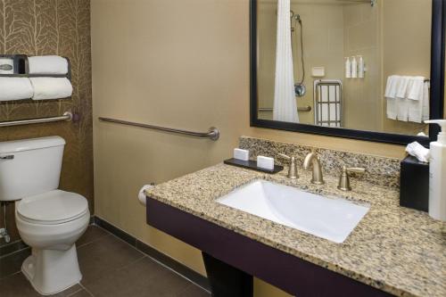 Embassy Suites St. Louis - Airport - image 10