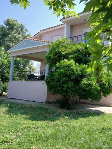 Maisonette Mangana, Ksanti