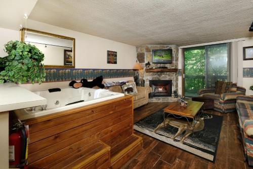 Bear Creek 167 in Gatlinburg, USA