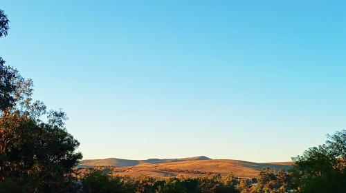 Aussicht, Burra Hills in Burra