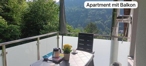 Ferienwohnung in ruhiger Waldrandlage, Bad Wildbad (foto 10)