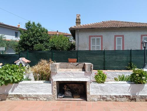  Il gelsomino in Manziana