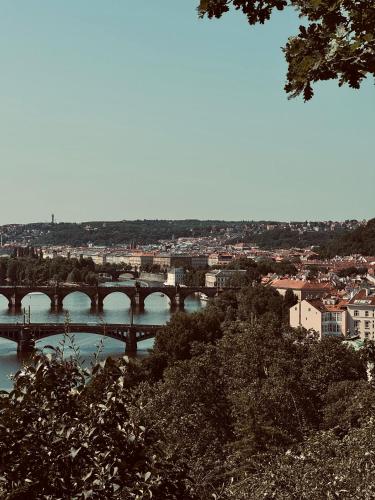 Kamenicka new!, Prag (Foto 10)