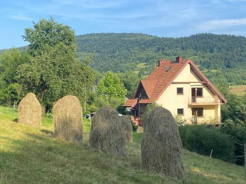 W gorach nad strumieniem - Skomielna Czarna