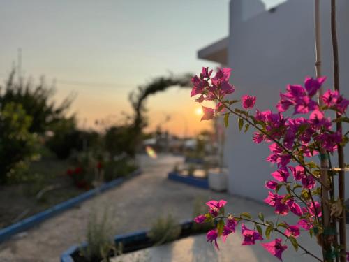 Modern Stay with Garden, near Tigaki Beach - El Greco Apartments No 2 – khách sạn tại Tigaki