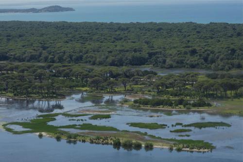 Verde Al Mare - main image