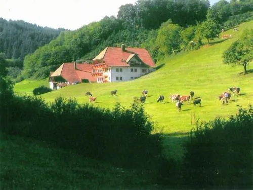 Comfortable holiday home in a beautiful location in Hofstetten, Deutschland