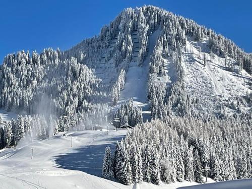 Chalet zur Rose - main image