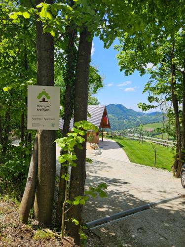 Hiška pod krošnjami