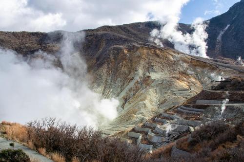 ハーモニーヒルズVilla箱根強羅, Hakone (foto 7)