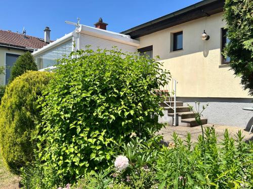 ガブリッツ Haus Ingrid 4つ星 シングルルーム 眺望